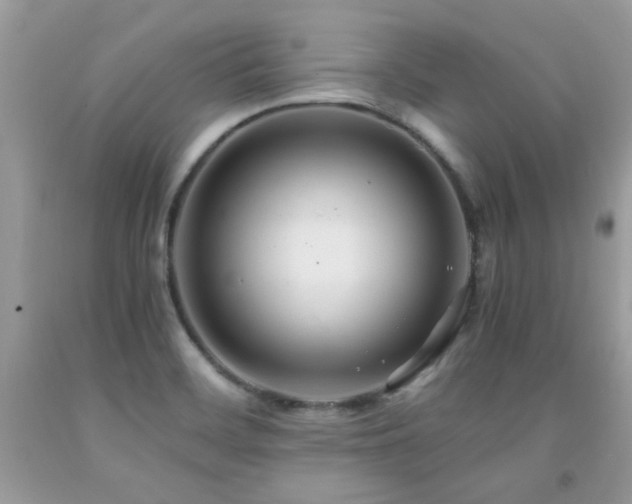 X0000091981468200709061343