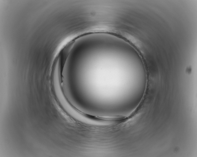 X0000091981469200709061343