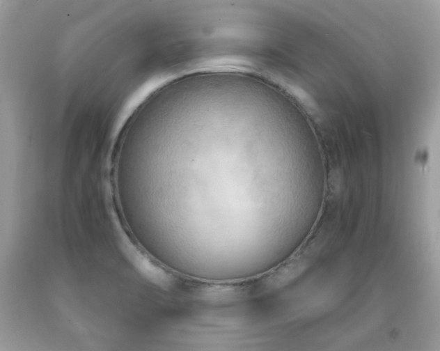 X0000091981470200709061343