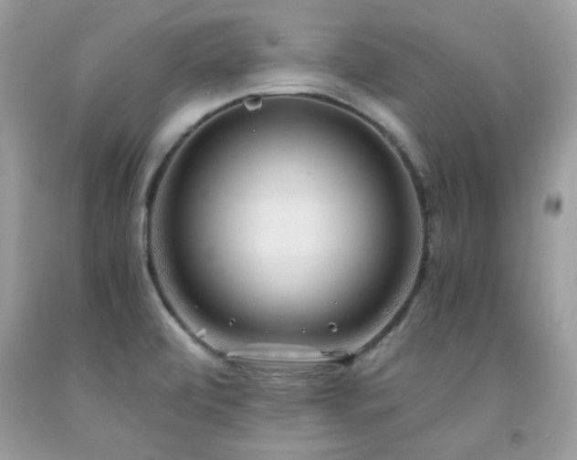 X0000091981472200709061343