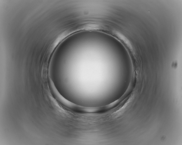 X0000091981473200709061343