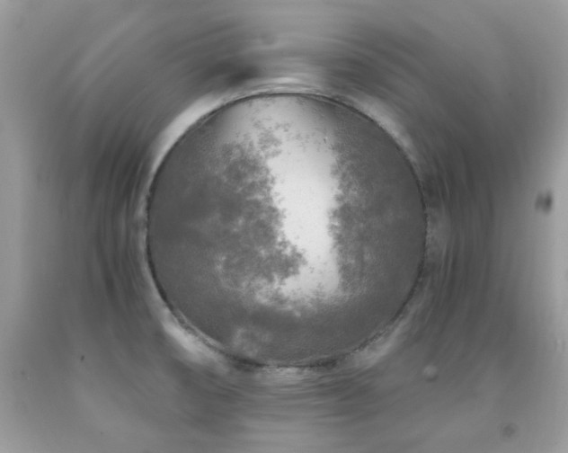X0000091981474200709061343
