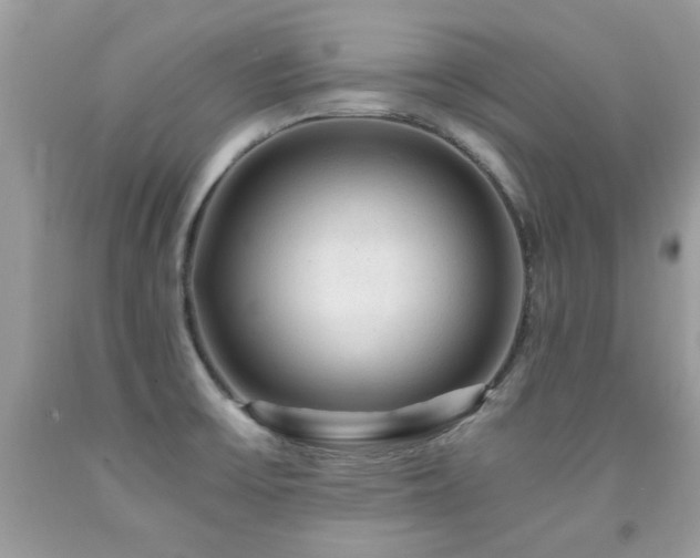 X0000091981475200709061343