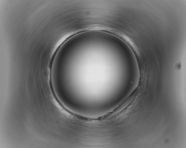 X0000091981476200709061343