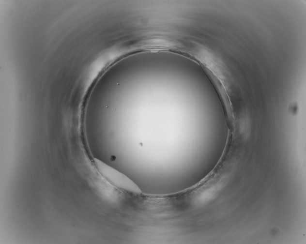 X0000091981477200709061343