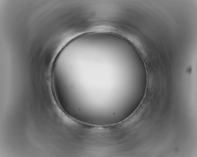 X0000091981478200709061343