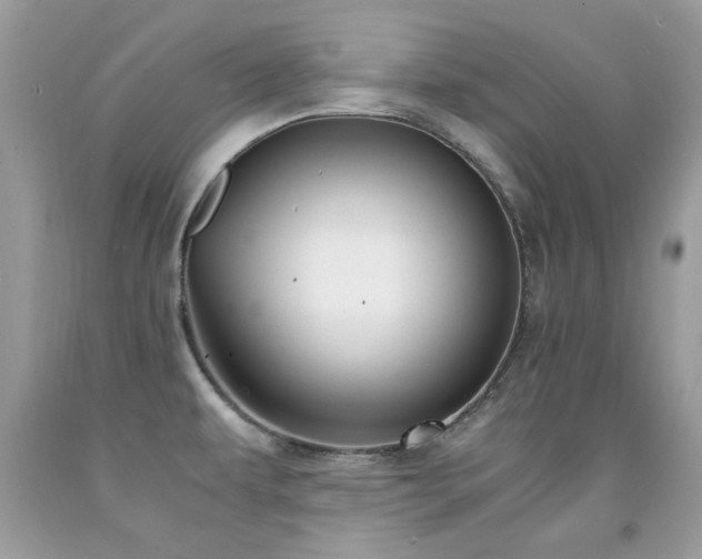 X0000091981479200709061343