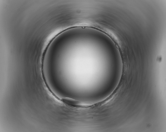 X0000091981480200709061343
