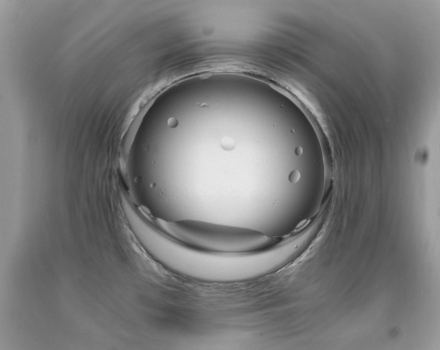 X0000091981481200709061343