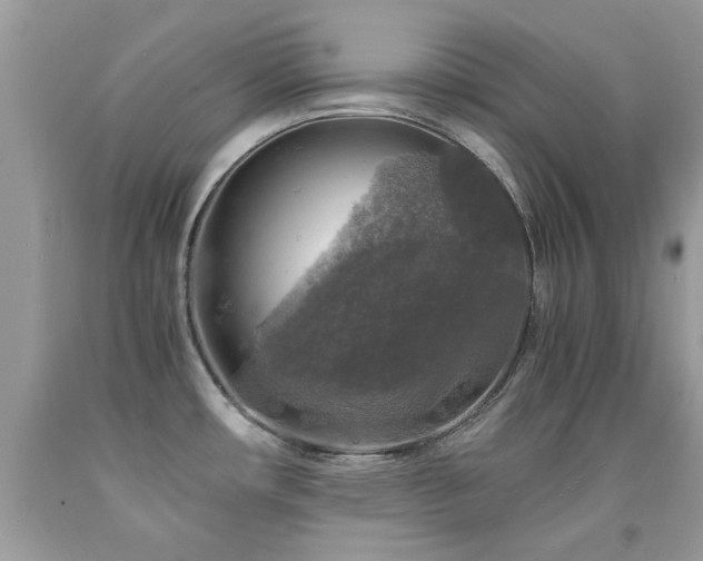 X0000091981482200709061343