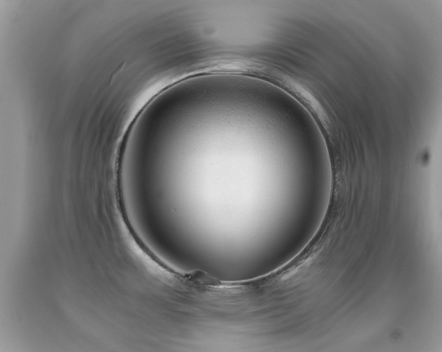 X0000091981483200709061343