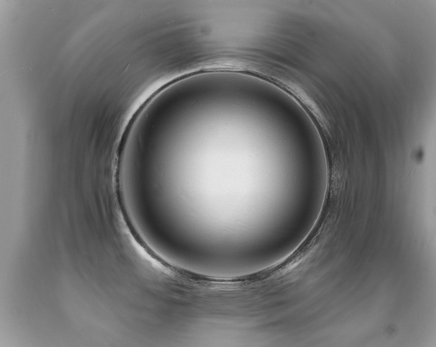 X0000091981484200709061343