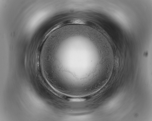 X0000091981487200709061343