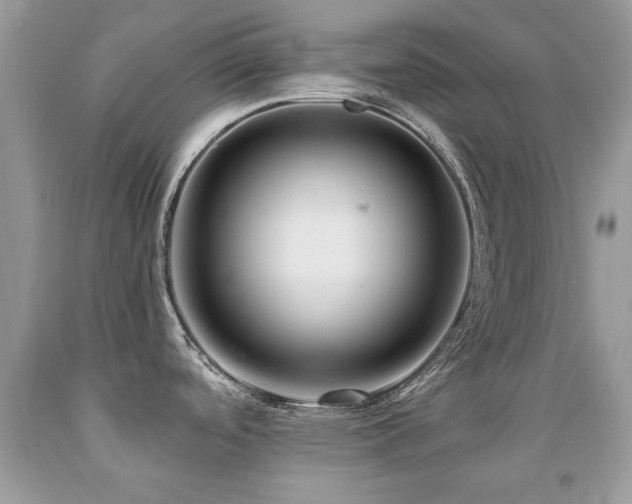 X0000091981488200709061343