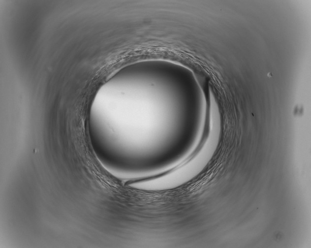 X0000091981489200709061342