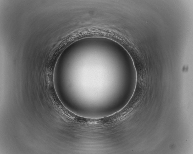 X0000091981490200709061342