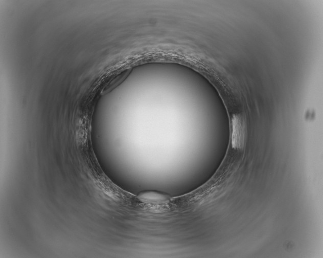 X0000091981491200709061342