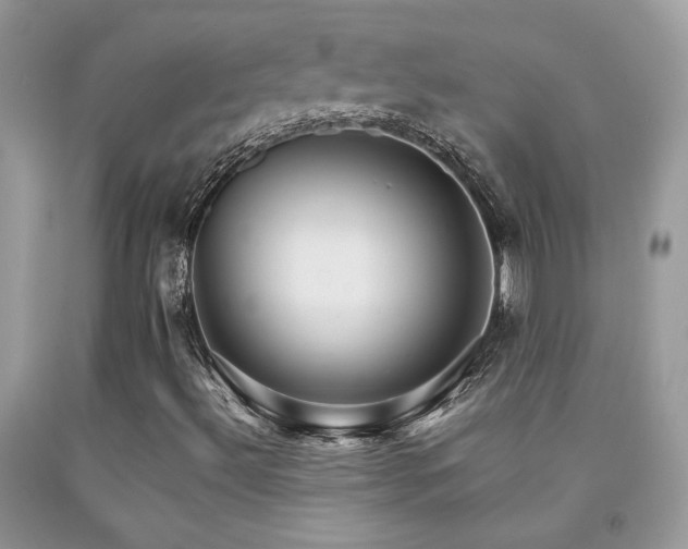 X0000091981492200709061342