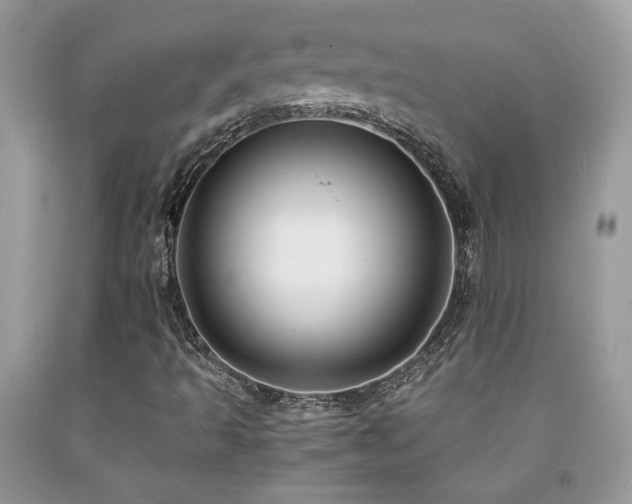 X0000091981493200709061342