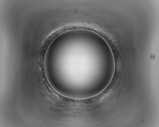 X0000091981494200709061342