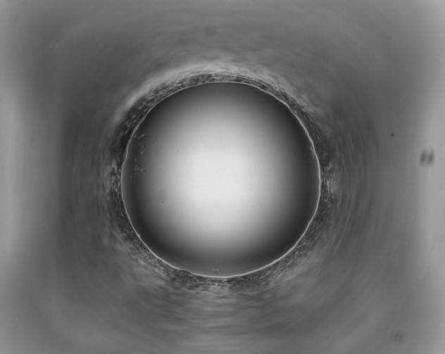 X0000091981495200709061342