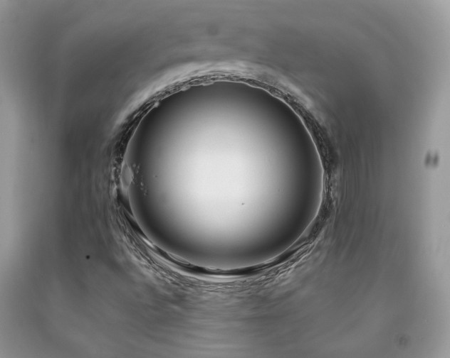 X0000091981496200709061342