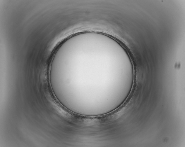 X0000091981498200709061342