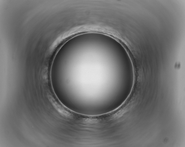 X0000091981499200709061342