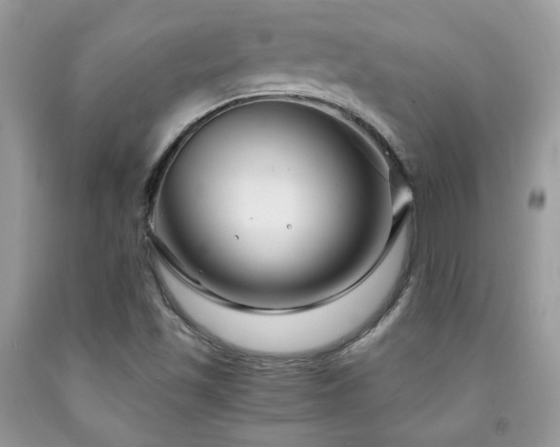 X0000091981501200709061342