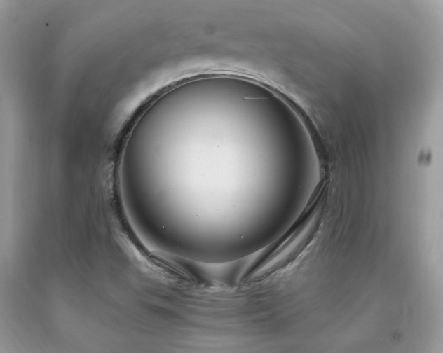 X0000091981503200709061342