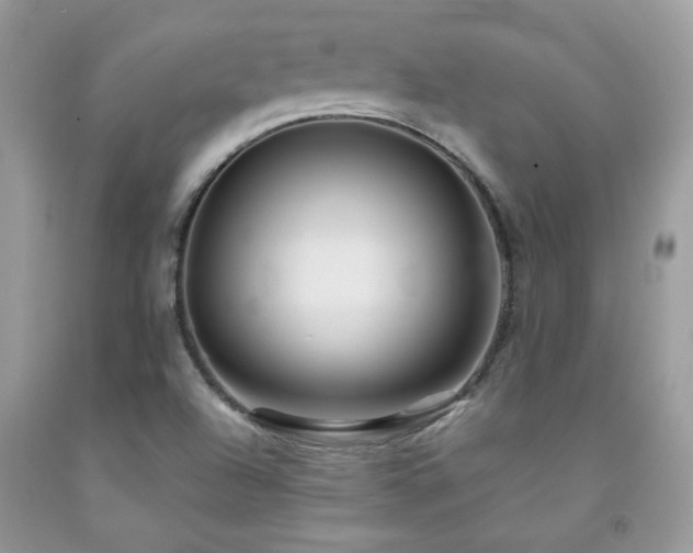 X0000091981504200709061342