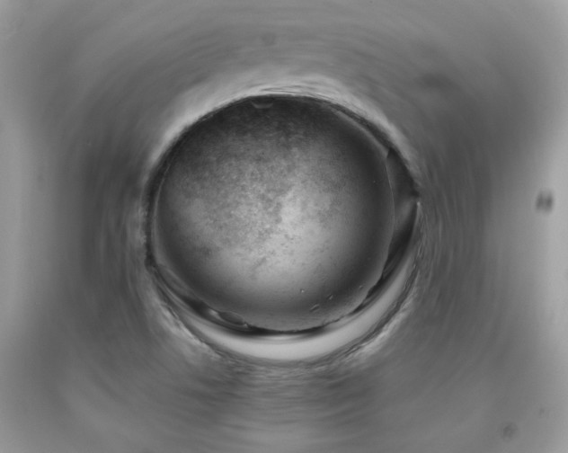 X0000091981506200709061342