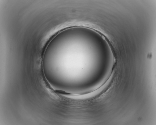 X0000091981507200709061342
