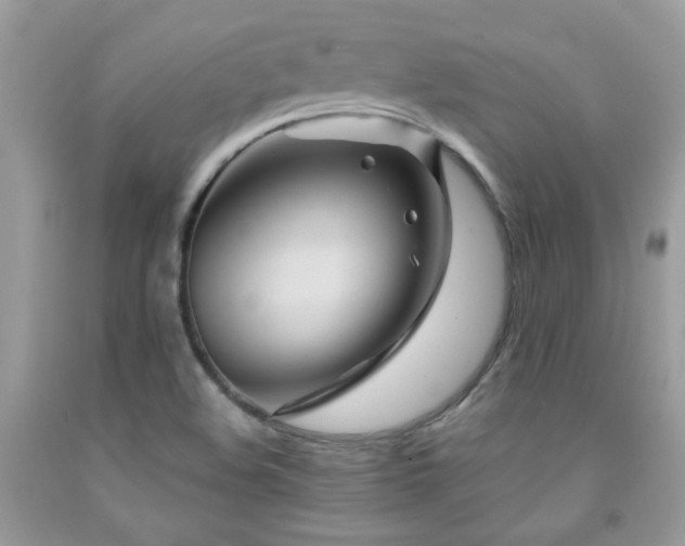 X0000091981508200709061342
