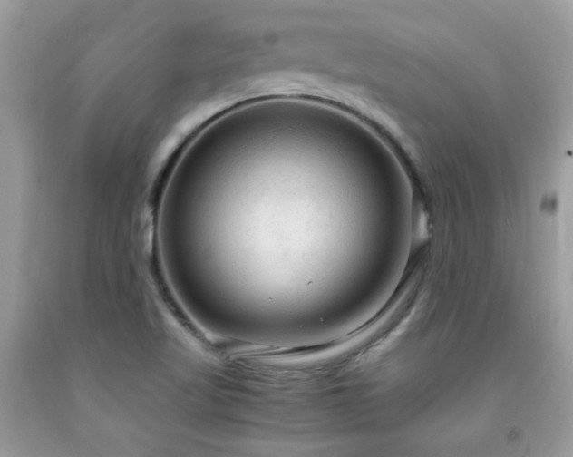 X0000091981509200709061342