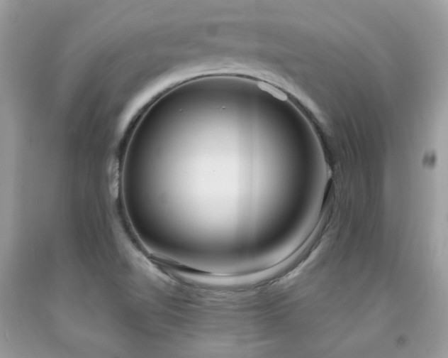 X0000091981510200709061343
