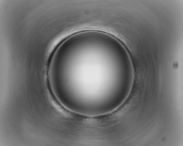 X0000091981511200709061343