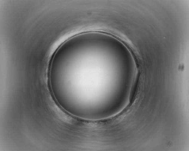 X0000091981512200709061343