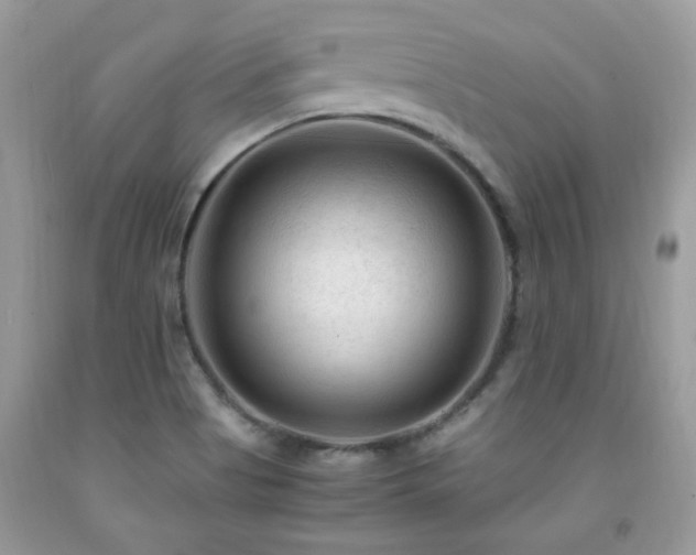 X0000091981513200709061343
