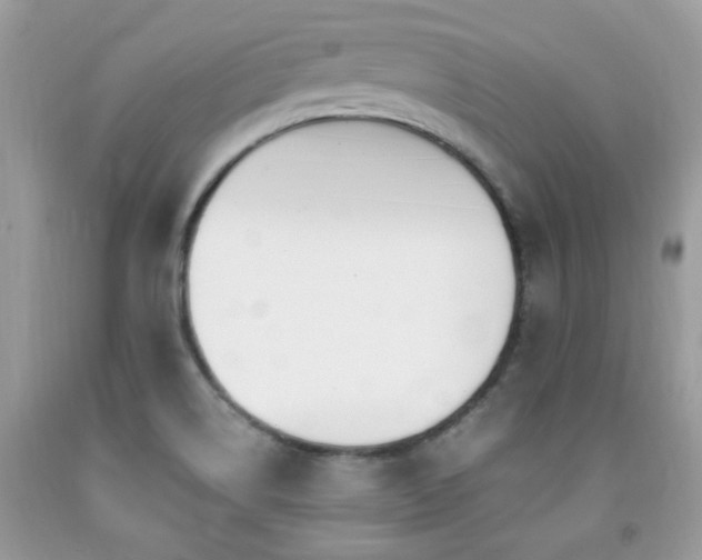 X0000091981514200709061343