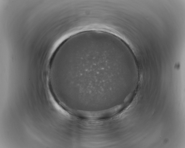 X0000091981515200709061343
