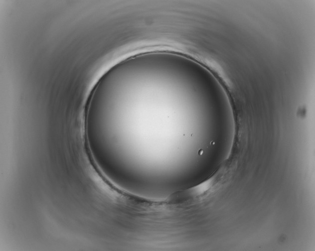 X0000091981516200709061343