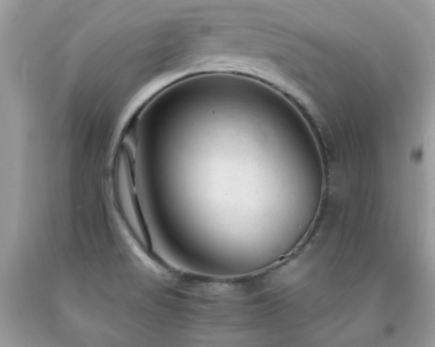 X0000091981517200709061343