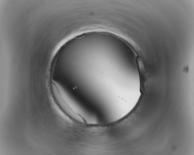 X0000091981518200709061343