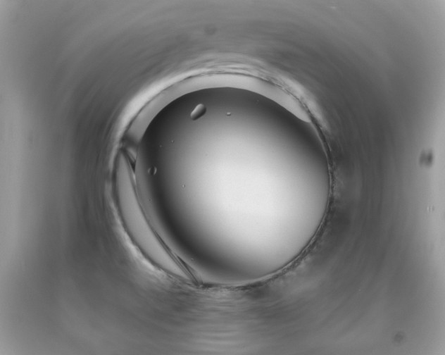 X0000091981520200709061343