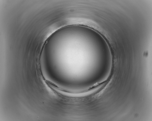 X0000091981521200709061343