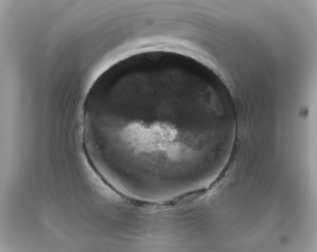X0000091981522200709061343