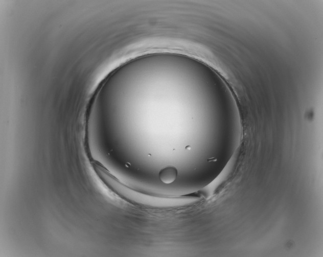 X0000091981523200709061343
