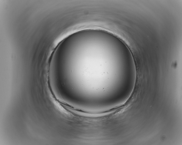 X0000091981526200709061343