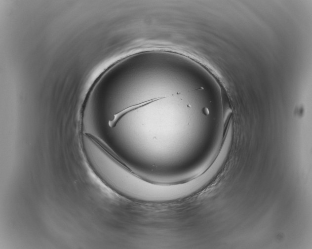 X0000091981527200709061343